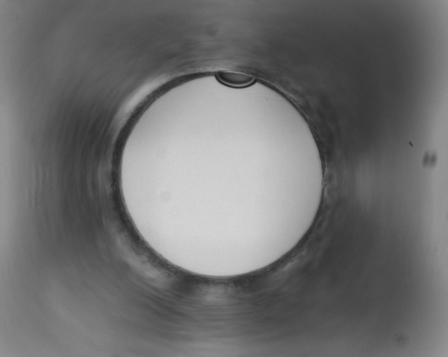 X0000113740200200910211132