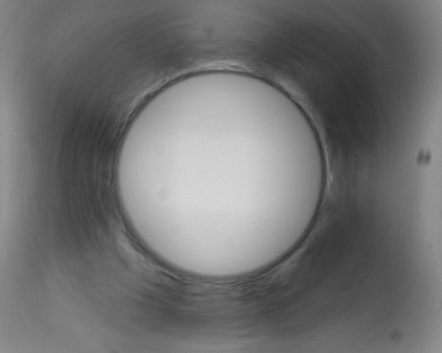 X0000113740201200910211132