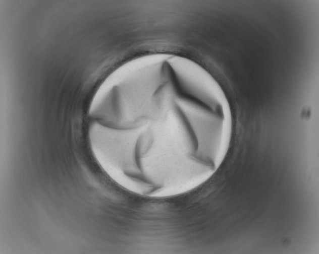 X0000113740202200910211132