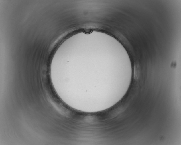 X0000113740204200910211132