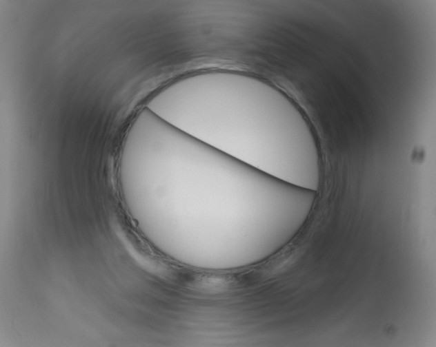 X0000113740205200910211132