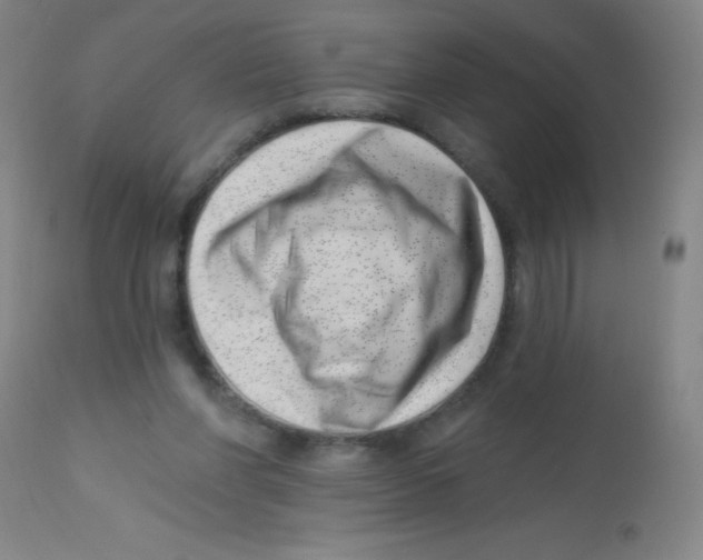 X0000113740206200910211132