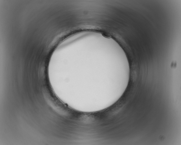 X0000113740207200910211132