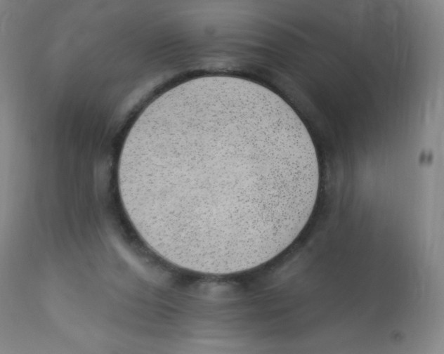 X0000113740208200910211132