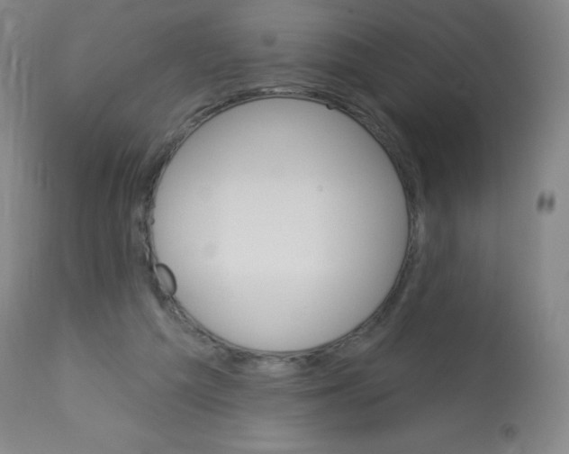 X0000113740209200910211132