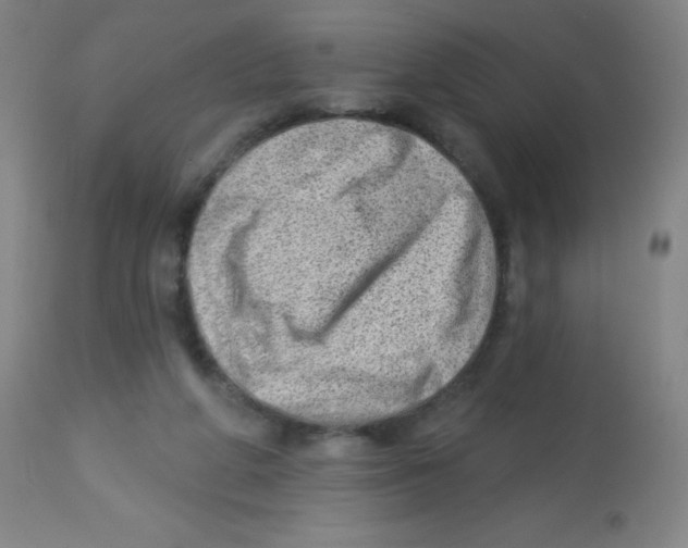 X0000113740210200910211132