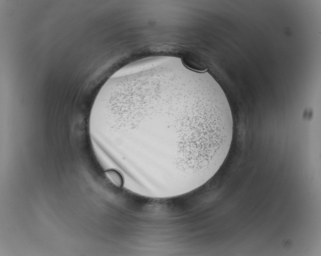 X0000113740211200910211132