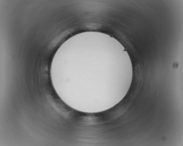 X0000113740212200910211132