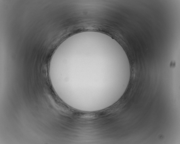 X0000113740213200910211132