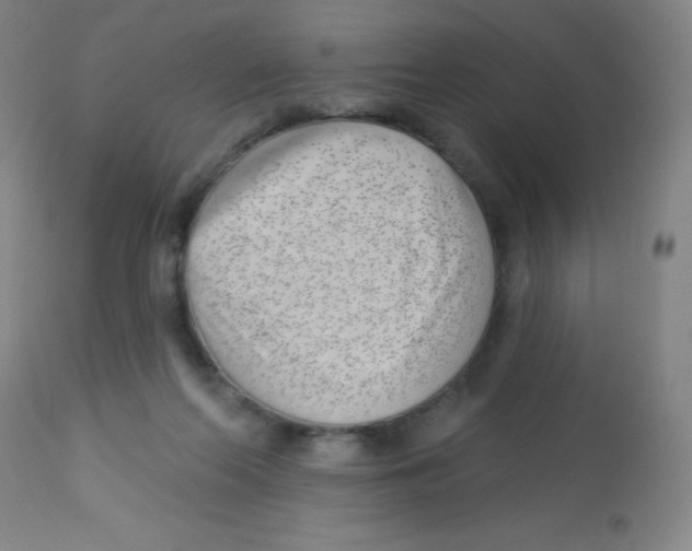 X0000113740214200910211132
