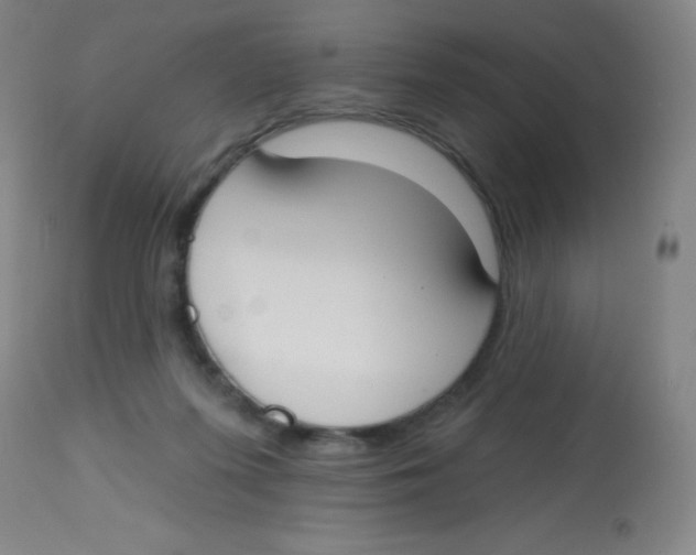 X0000113740215200910211132