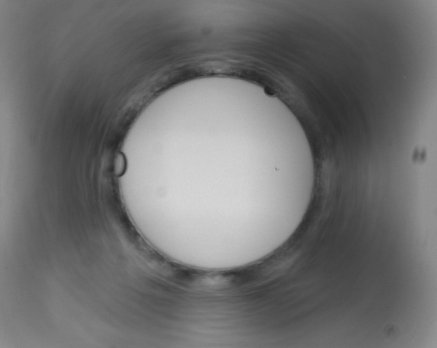 X0000113740217200910211132