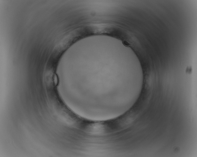 X0000113740219200910211132