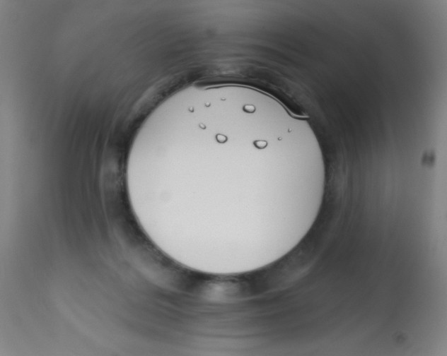 X0000113740220200910211132