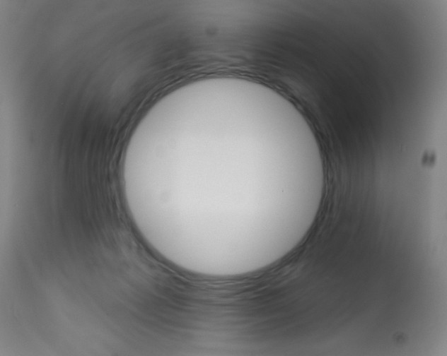 X0000113740221200910211132
