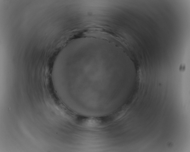 X0000113740223200910211132