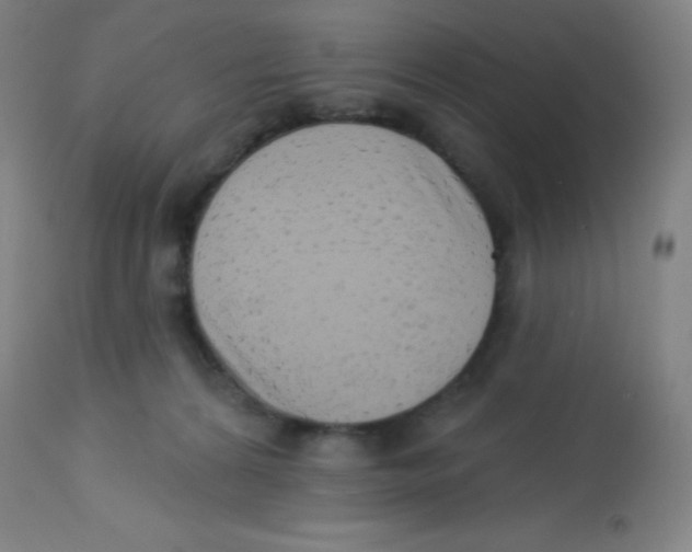 X0000113740224200910211132