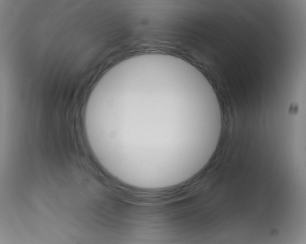 X0000113740225200910211132