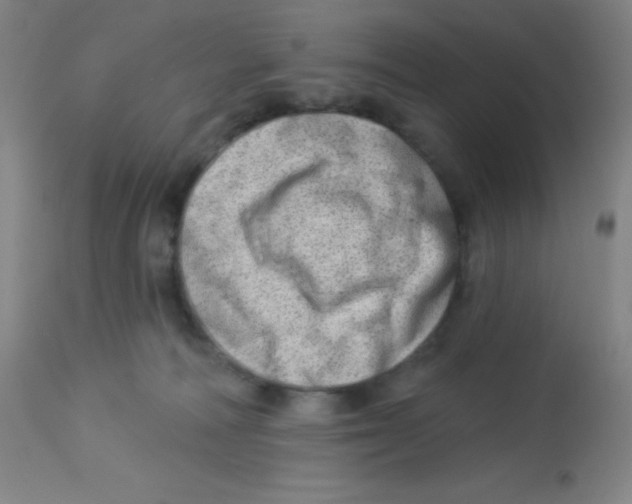 X0000113740226200910211132