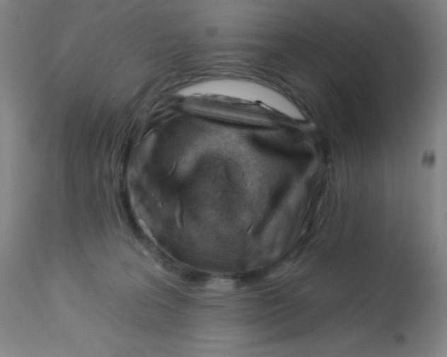 X0000113740227200910211132