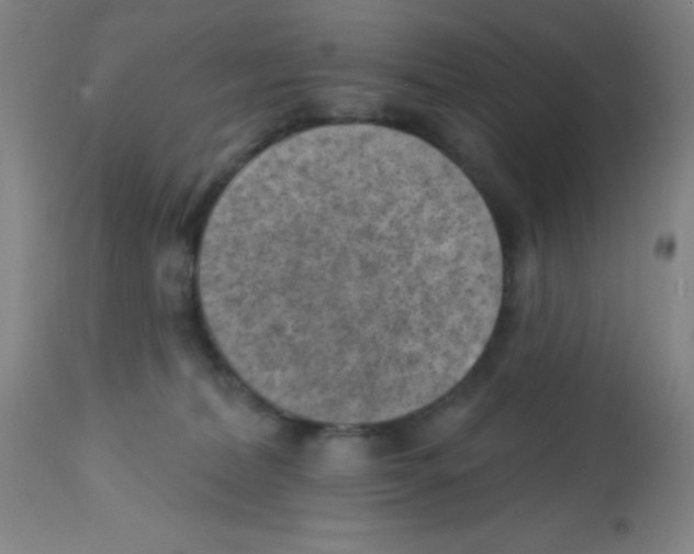 X0000113740228200910211132