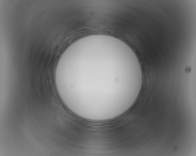 X0000113740229200910211132