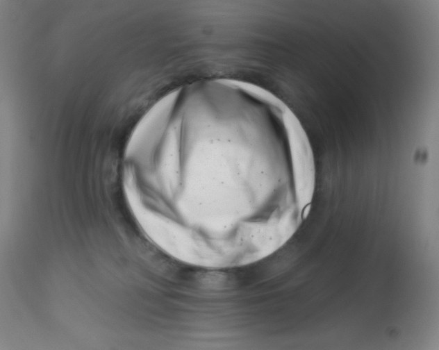 X0000113740230200910211132