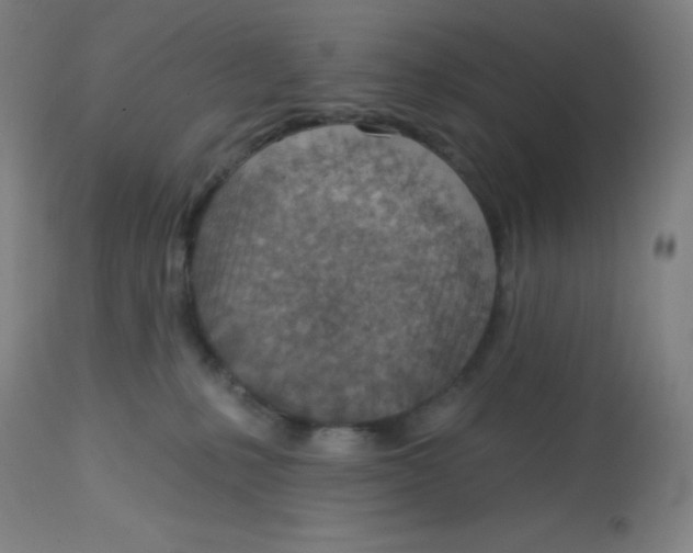X0000113740231200910211132