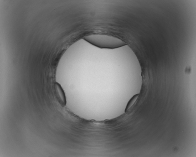 X0000113740233200910211131