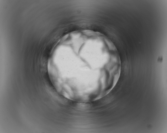 X0000113740234200910211131