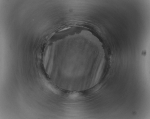 X0000113740235200910211131