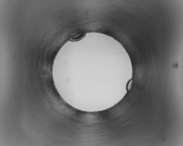 X0000113740236200910211131