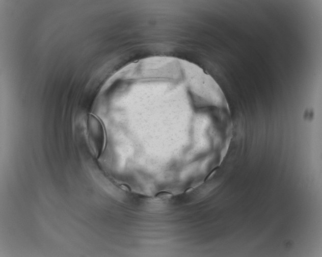 X0000113740238200910211131