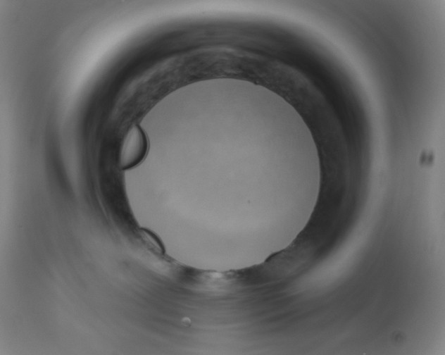 X0000113740239200910211131
