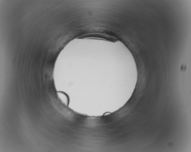 X0000113740240200910211131