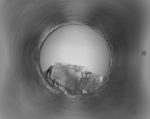 X0000113740241200910211131