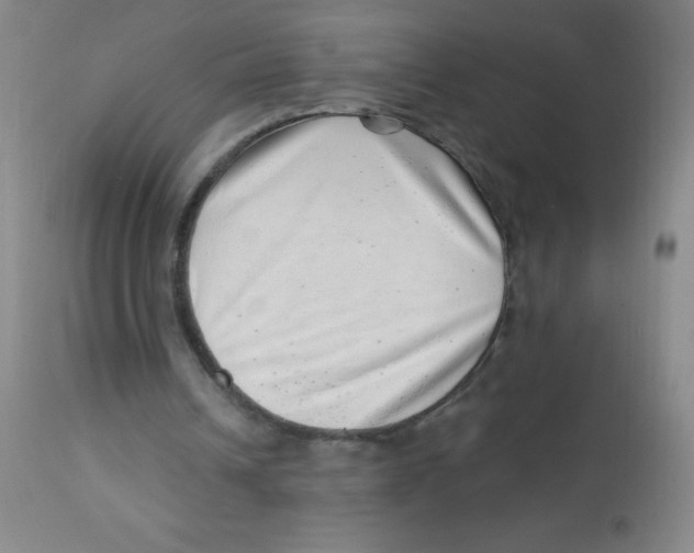 X0000113740242200910211131