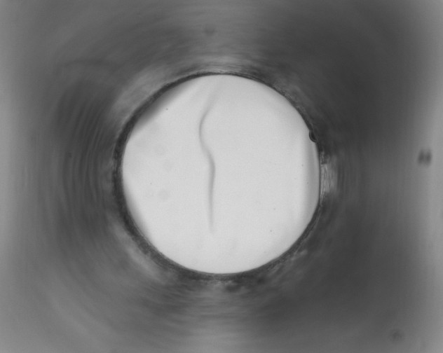 X0000113740243200910211131