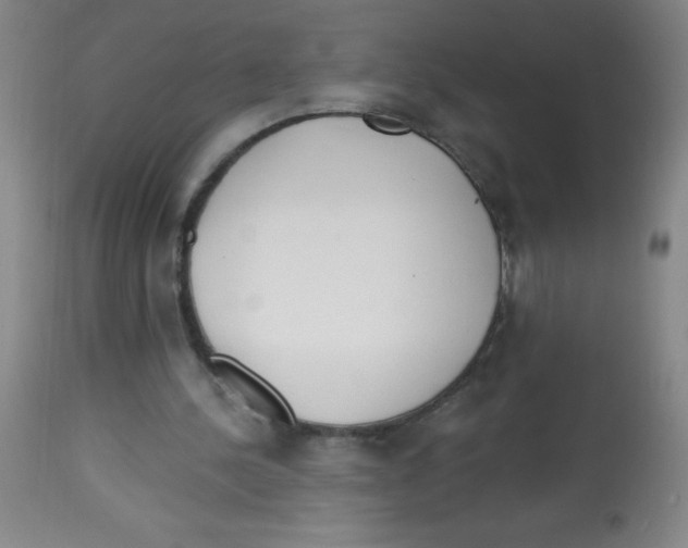 X0000113740244200910211131