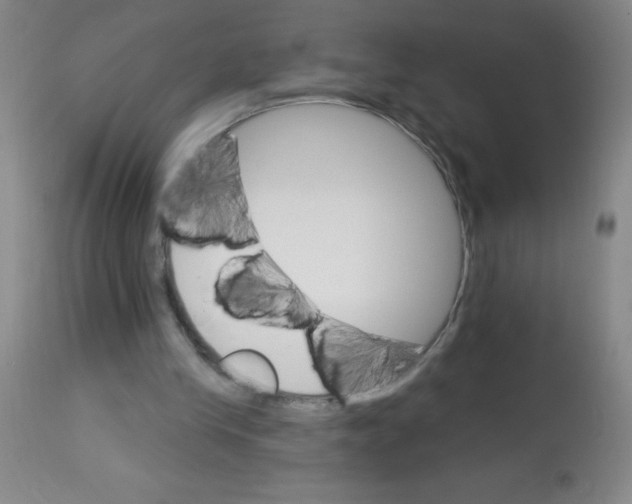 X0000113740245200910211131
