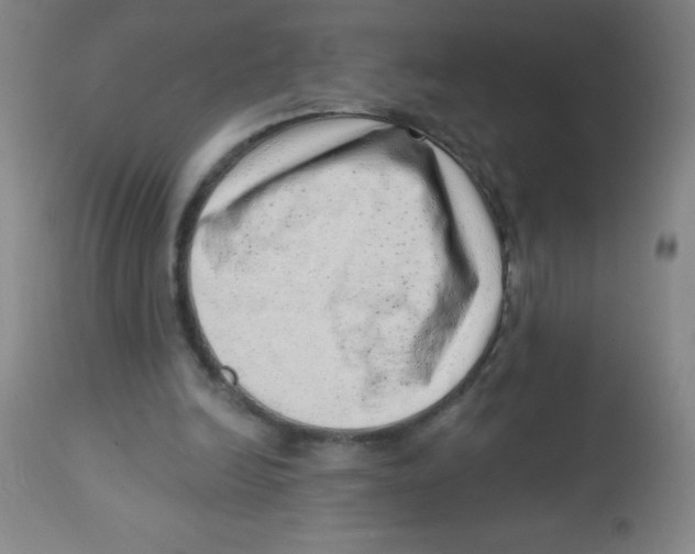 X0000113740246200910211131