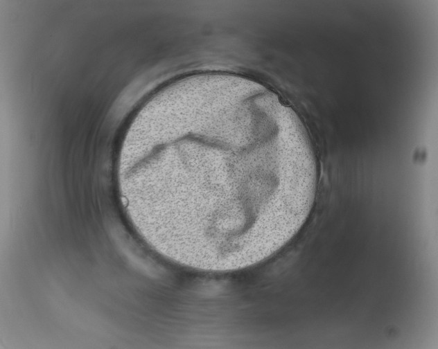 X0000113740247200910211131