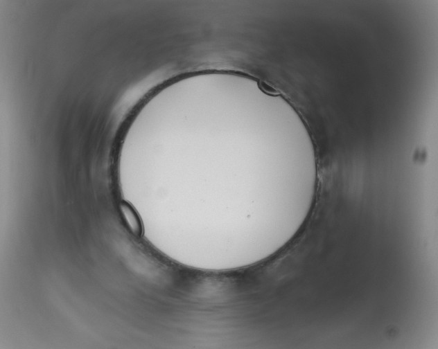 X0000113740248200910211131
