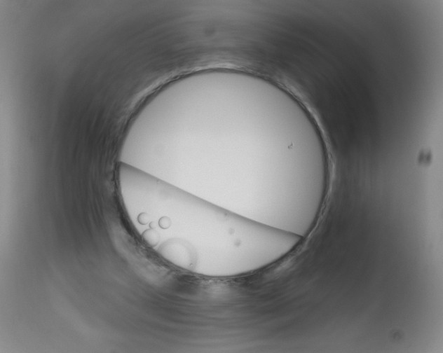 X0000113740249200910211131