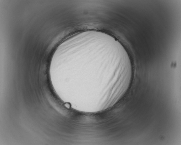 X0000113740250200910211131