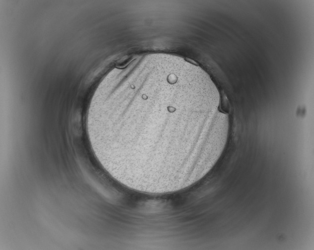 X0000113740251200910211131