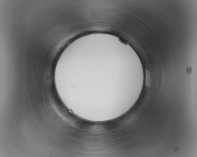 X0000113740252200910211131