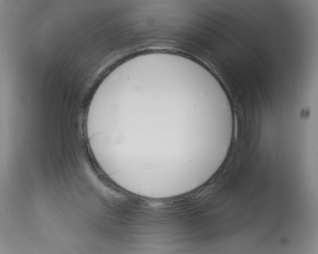 X0000113740253200910211131