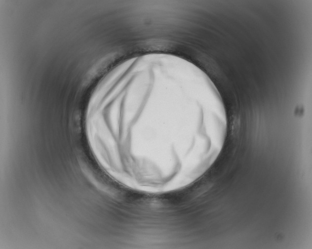 X0000113740254200910211131