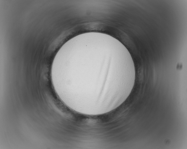 X0000113740255200910211131